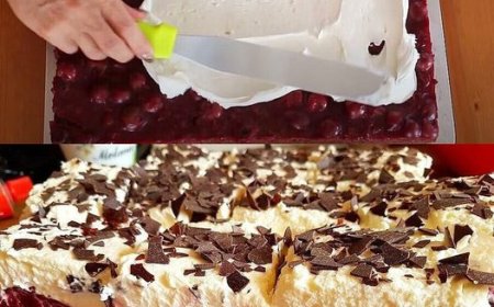 Schwarzwälder Blechkuchen – Ein Traum aus Schokolade, Kirschen und Sahne