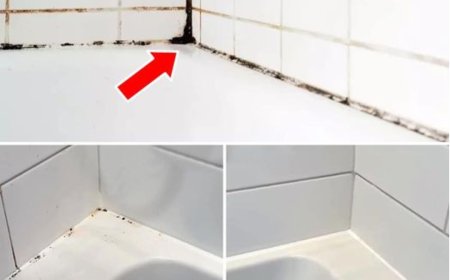 Silikonfugen von Schimmel befreien: So funktioniert’s