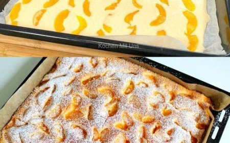 Mandarinen Blechkuchen in 10 Minuten fertig Inklusive Backzeit