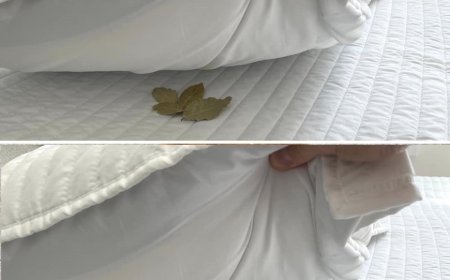 Lorbeerblätter unters Kopfkissen legen: Der Trick, der ein häufiges Problem löst