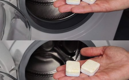 Wenn Sie das tun, kommt der gesamte Schmutz aus der Waschmaschine: Schluss mit unangenehmen Gerüchen aus der Wäsche