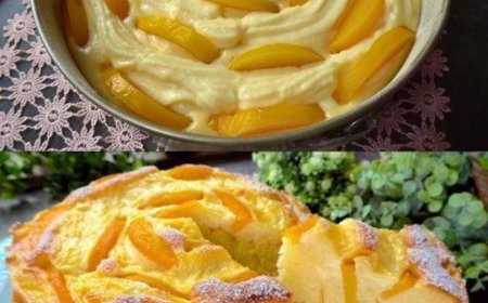 Aprikosenkuchen mit cremigem Pudding