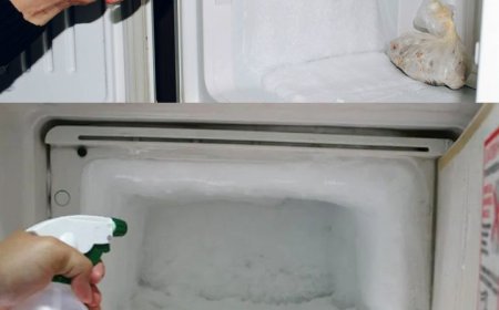 Ihr Gefrierschrank wird nicht mehr mit Eis bedeckt sein