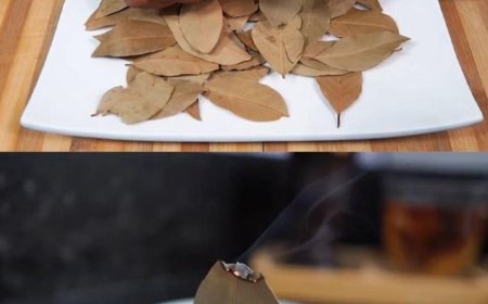 6 unglaubliche Vorteile des Verbrennens von Lorbeerblättern