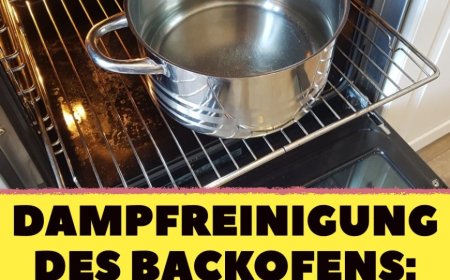Haushaltstipp: So einfach reinigst du den Backofen mit Wasserdampf