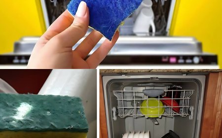 GESCHIRRSPÜLER, VOR DEM START IMMER EINEN SCHWAMM EINLEGEN: DER GRUND