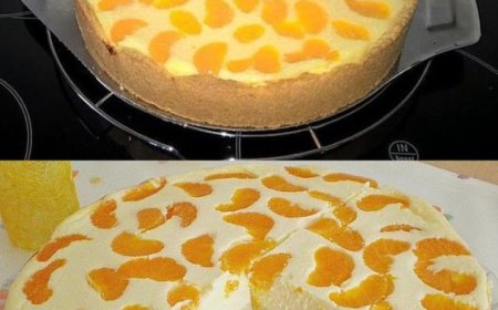 Ich backe meinen Quarkkuchen nur noch SO, Faule Weiber Kuchen