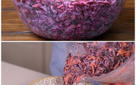 Schneller Rotkohlsalat superlecker und gut zum abnehmen