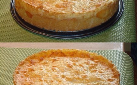 Pfirsichkuchen