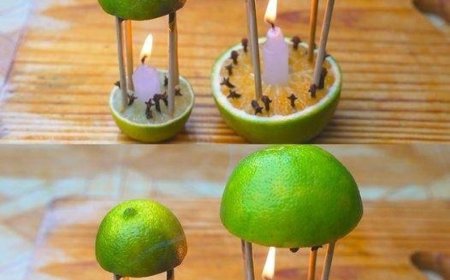 Mit diesem Mittel parfümieren Sie nicht nur Ihr Zuhause, sondern die Mücken kommen auch nie wieder zurück