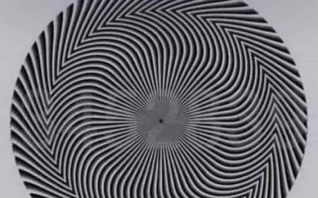 Diese optische Täuschung offenbart eine versteckte Zahl – und jeder sieht sie anders