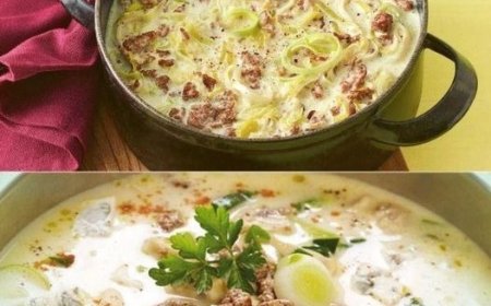 Käse Lauch-Suppe mit Hackfleisch