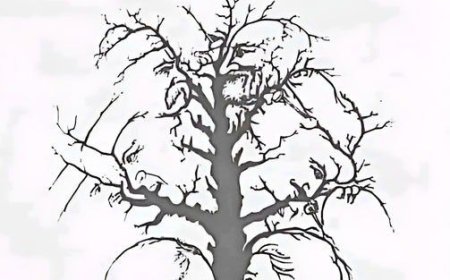 gehören Sie zu den Menschen mit dem besten Sehvermögen