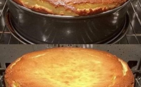 Ultracremiger Käsekuchen, der auf der Zunge zergeht – Ein köstliches Dessert für jeden Anlass