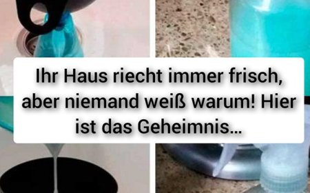 Ihr Haus riecht immer frisch, aber niemand weiß warum! Hier ist das Geheimnis…