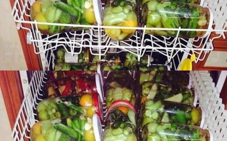 Ein genialer Tipp:Gewürzgurken im Geschirrspüler einkochen