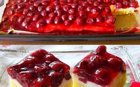 Menschhh ist das lecker mhmm! Kirsch Schmand Blechkuchen