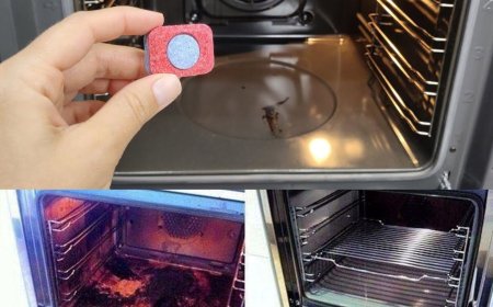 Hier erfahren Sie, wie Sie den Ofen mit einem tollen Trick reinigen, den Sie noch nicht kennen