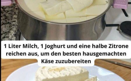 1 Liter Milch, 1 Joghurt und eine halbe Zitrone reichen aus, um den besten hausgemachten Käse zuzubereiten