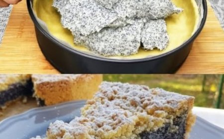 Mohnkuchen mit 250 g Magerquark und 2 Pk Puddingpulver