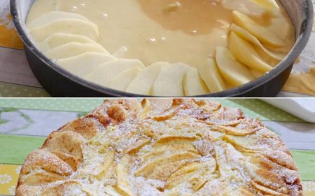 Apfel-Biskuitkuchen  schönes und leckeres Dessert