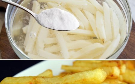 Wie man leckere knusprige Chips ohne einen Tropfen Öl macht