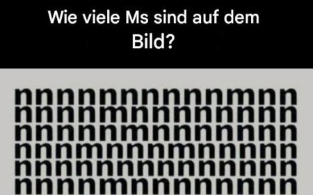 Wie viele M’s sind auf dem Bild?