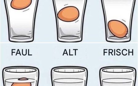 Präziser geht’s nicht  Die genaueste Art, Hühnereier auf Frische zu prüfen