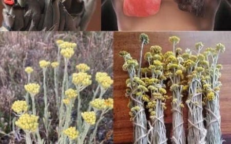 Entdecken Sie die Vorteile von Papierblumen