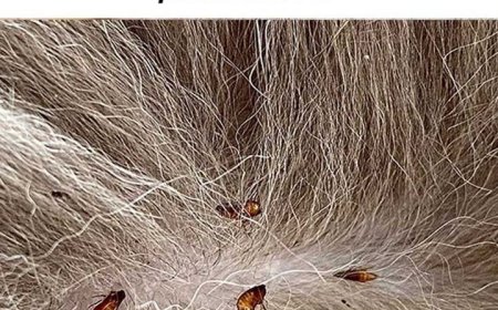 Ich wünschte, ich hätte das vor Jahren gelernt