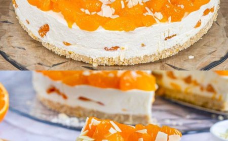 Dieser Heidelbeer Frischkäsekuchen kombiniert luftigen Schokoladen Biskuit mit einer cremigen Heidelbeer Frischkäsefüllung