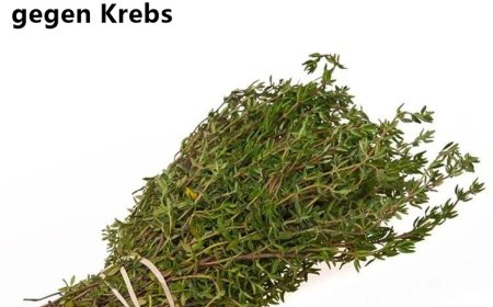 Natürliche Unterstützung im Kampf gegen Krebs