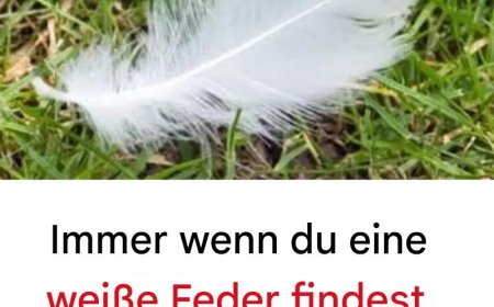 Die verborgene Botschaft hinter der Suche nach einer weißen Feder: Spirituelle und aufschlussreiche Bedeutung