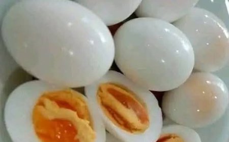 Was Ihnen niemand über den täglichen Eierverzehr erzählt