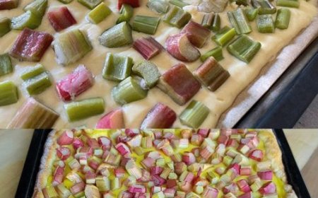 Quark Rhabarberkuchen mit Vanillepudding