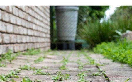 Davon hatte ich keine Ahnung! Gut zu wissen