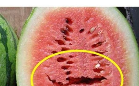 Wenn Sie eine Wassermelone öffnen und das sehen, werfen Sie sie weg!