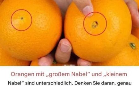 Orangen mit „großem Nabel“ und „kleinem Nabel“ sind unterschiedlich