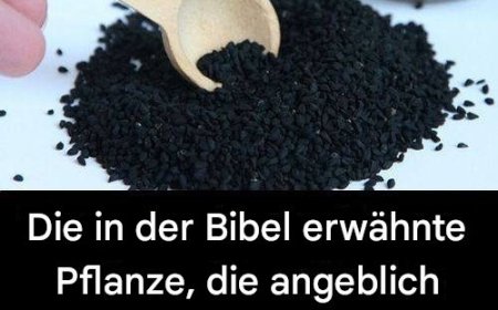 Die Heilpflanze aus der Bibel: Ein zeitloses Heilmittel