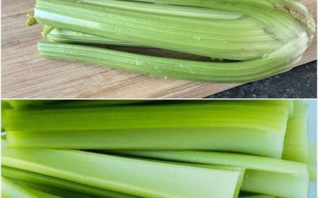 Reinigt die Leber 150-mal effektiver als Knoblauch und Zitrone