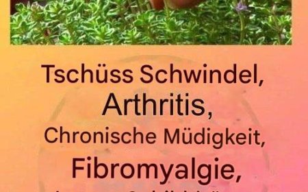 Dies ist ein echter „Tee Gottes“, da er Arthritis, Lupus, Schwindel, Schilddrüsenprobleme und chronische Müdigkeit behandelt