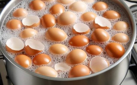 Werfen Sie sie nicht mehr weg. Kochen Sie Eierschalen und verabschieden Sie sich von