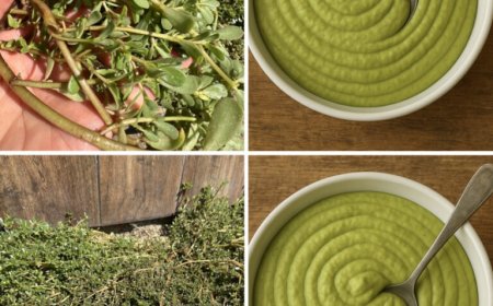 Diese Pflanze schmeckt besser als Fleisch! 7 Gründe, sie im Garten zu halten