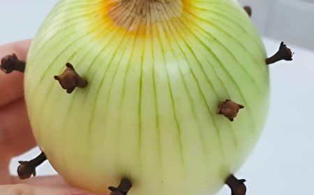 Meine französische Großmutter steckt immer Nelken in eine Zwiebel: Ich war überrascht, als ich herausfand, warum