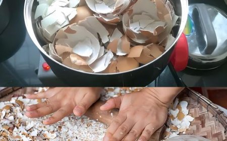 Eine natürliche Bombe für Pflanzen, gießen Sie sie einfach in die Erde, um sie wieder zum Leben zu erwecken