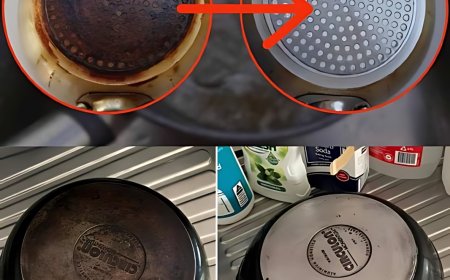 Verbrannte Pfannen: Diese Zutat macht sie so glänzend wie zuvor