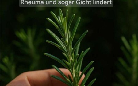 Entdecken Sie die Kraft von Rosmarin: „Natürliches Morphin“ in Ihrem eigenen Zuhause