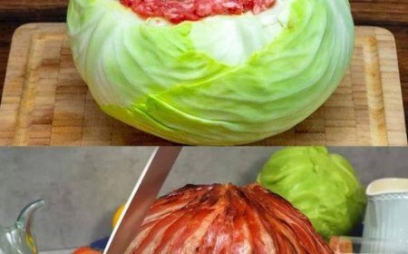 Herzhafte Kohlrouladen mit cremiger Dillsauce