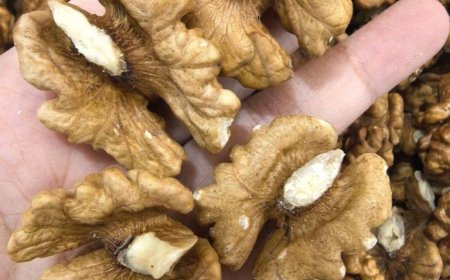 Ärzte enthüllen, dass der Verzehr von Walnüssen verursacht