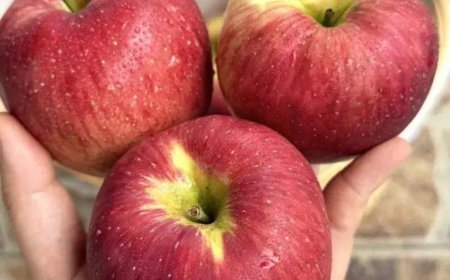 Ärzte enthüllen, dass der Verzehr von Äpfeln folgende Auswirkungen hat